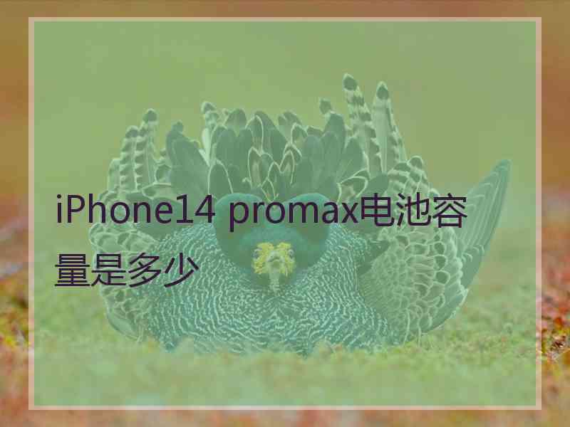 iPhone14 promax电池容量是多少