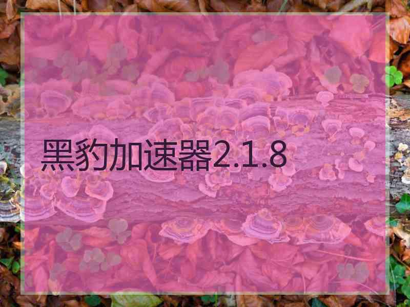 黑豹加速器2.1.8