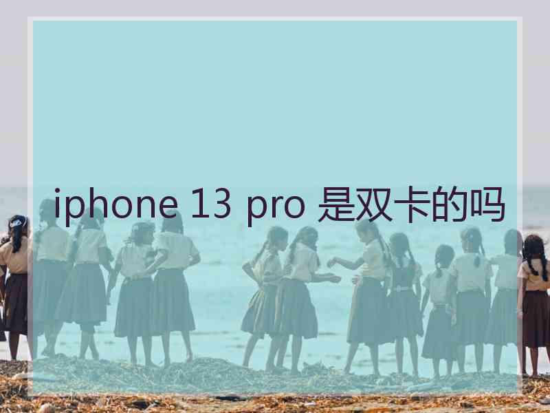 iphone 13 pro 是双卡的吗