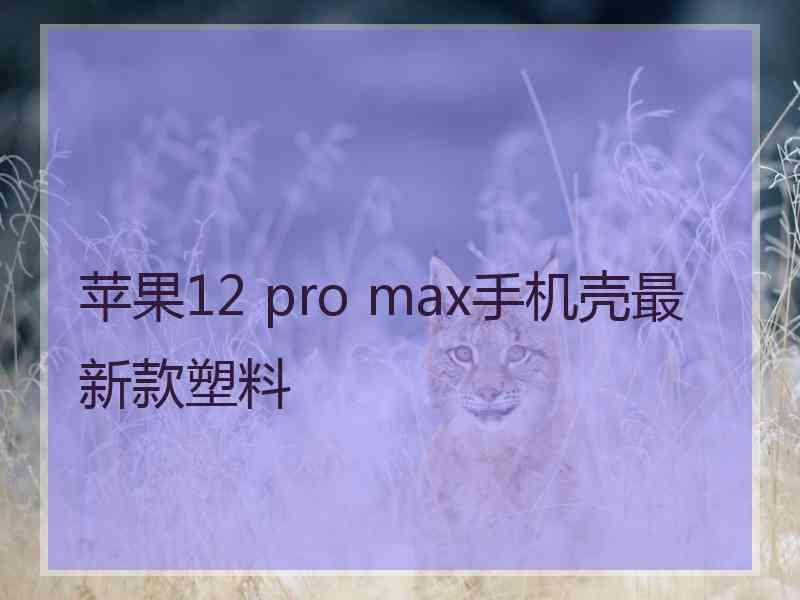 苹果12 pro max手机壳最新款塑料