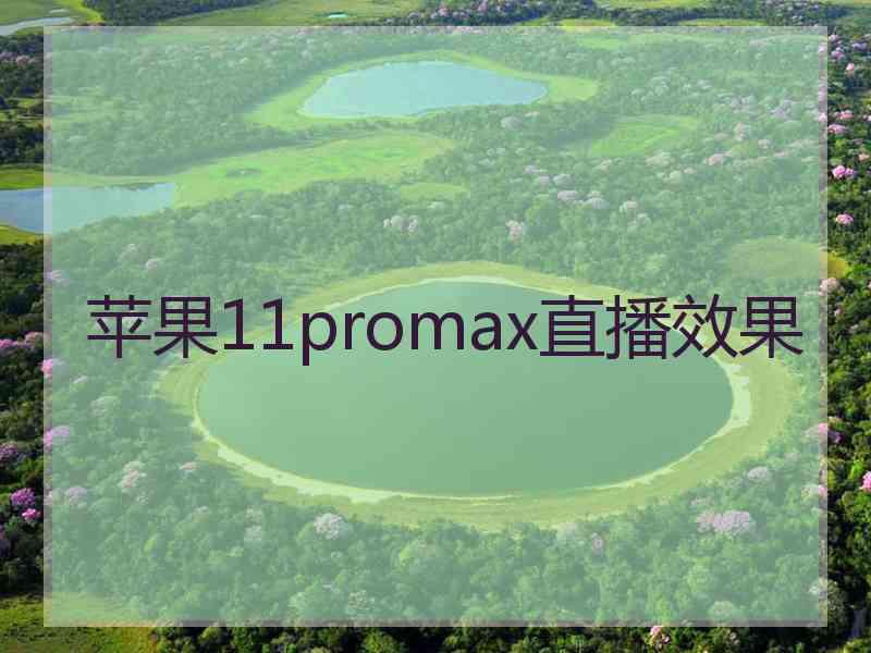 苹果11promax直播效果