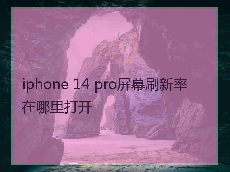 iphone 14 pro屏幕刷新率在哪里打开