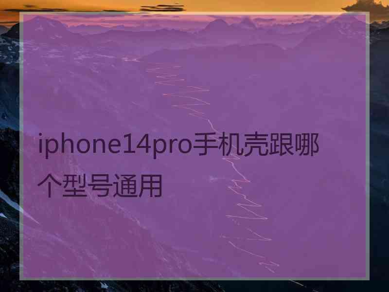 iphone14pro手机壳跟哪个型号通用