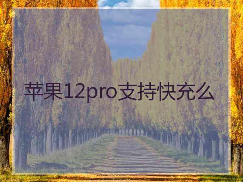 苹果12pro支持快充么