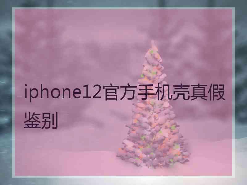 iphone12官方手机壳真假鉴别