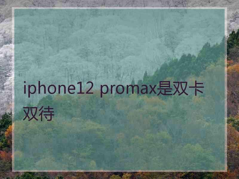 iphone12 promax是双卡双待