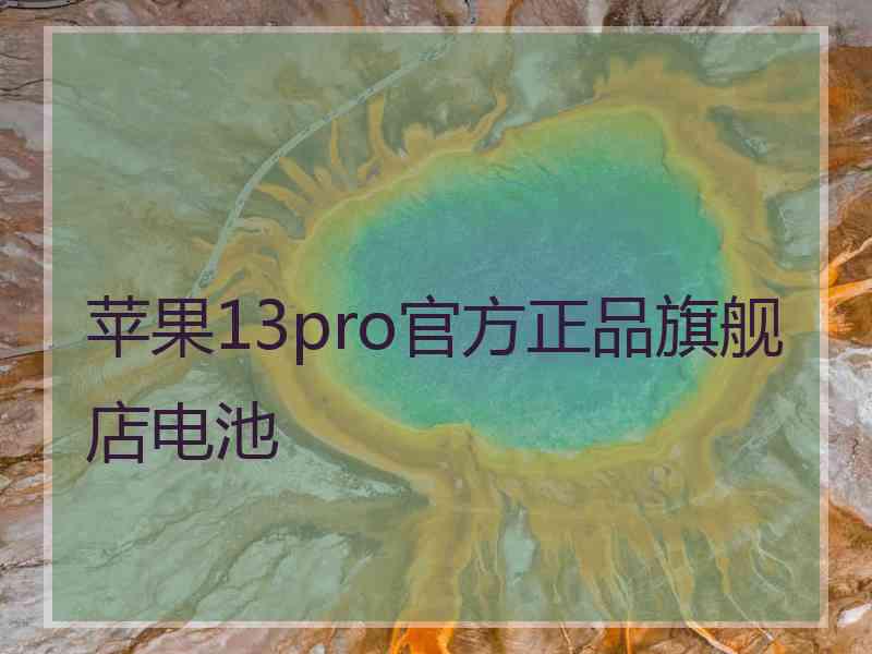 苹果13pro官方正品旗舰店电池