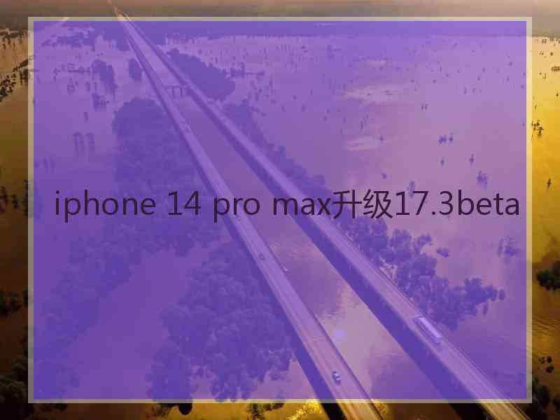 iphone 14 pro max升级17.3beta