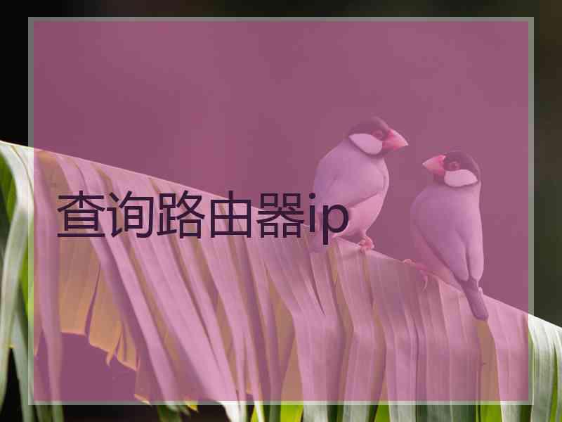 查询路由器ip