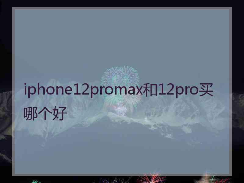 iphone12promax和12pro买哪个好