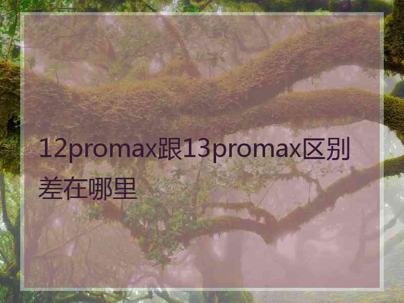 12promax跟13promax区别差在哪里