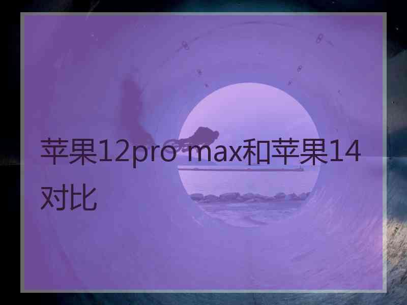 苹果12pro max和苹果14对比