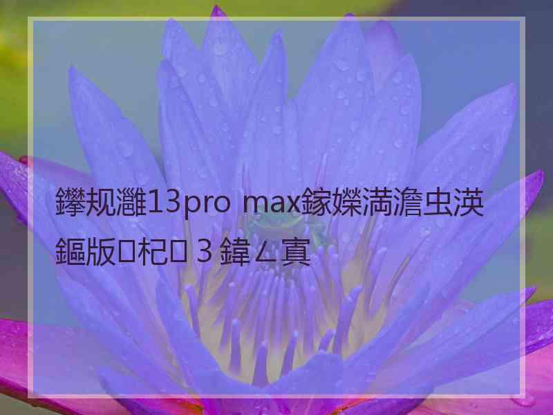 鑻规灉13pro max鎵嬫満澹虫渶鏂版杞３鍏ㄥ寘