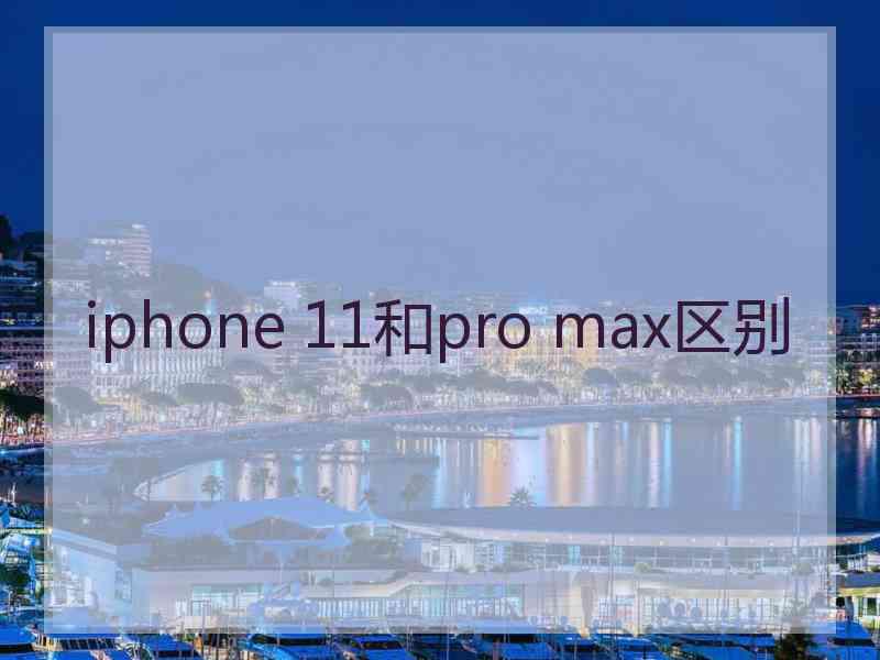 iphone 11和pro max区别