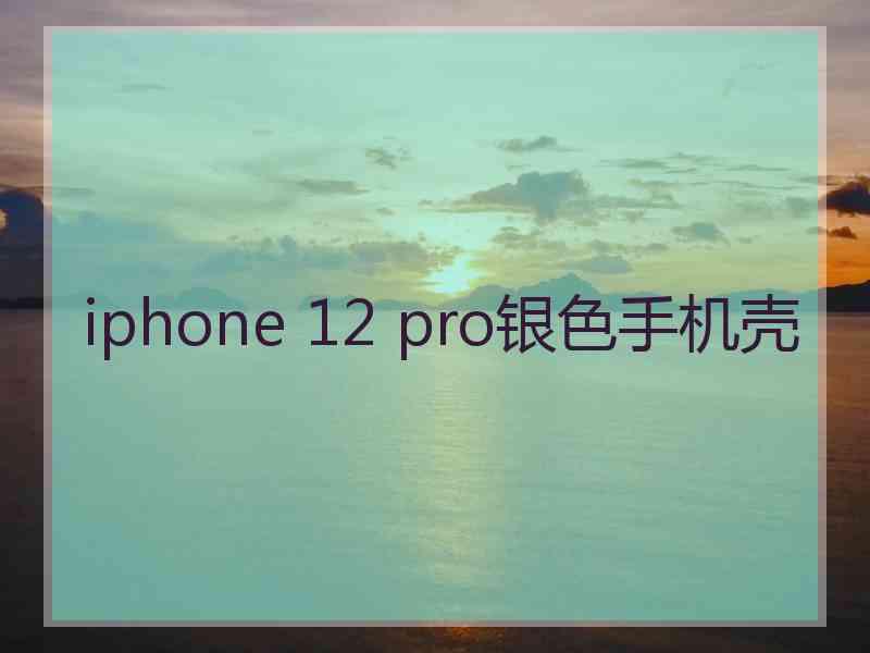 iphone 12 pro银色手机壳