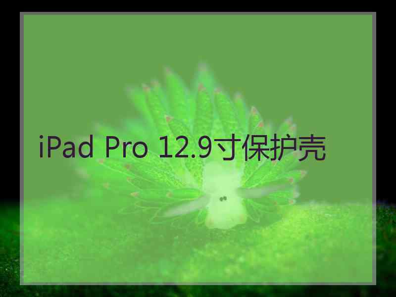 iPad Pro 12.9寸保护壳