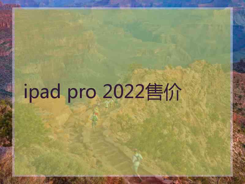 ipad pro 2022售价