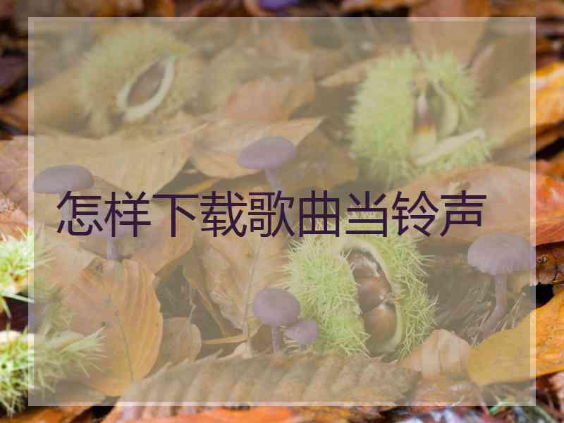 怎样下载歌曲当铃声