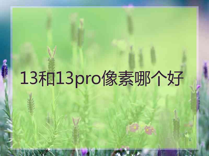 13和13pro像素哪个好