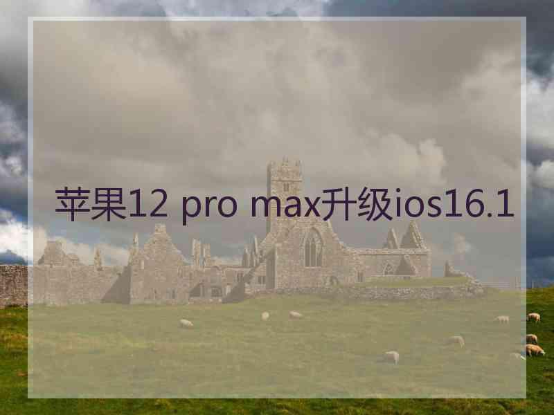 苹果12 pro max升级ios16.1