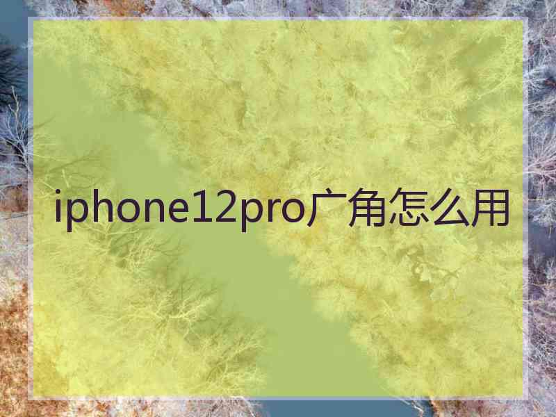 iphone12pro广角怎么用