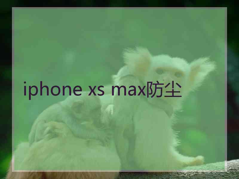 iphone xs max防尘