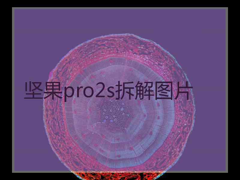 坚果pro2s拆解图片