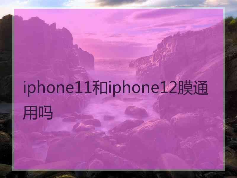 iphone11和iphone12膜通用吗