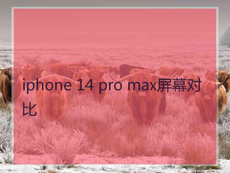 iphone 14 pro max屏幕对比