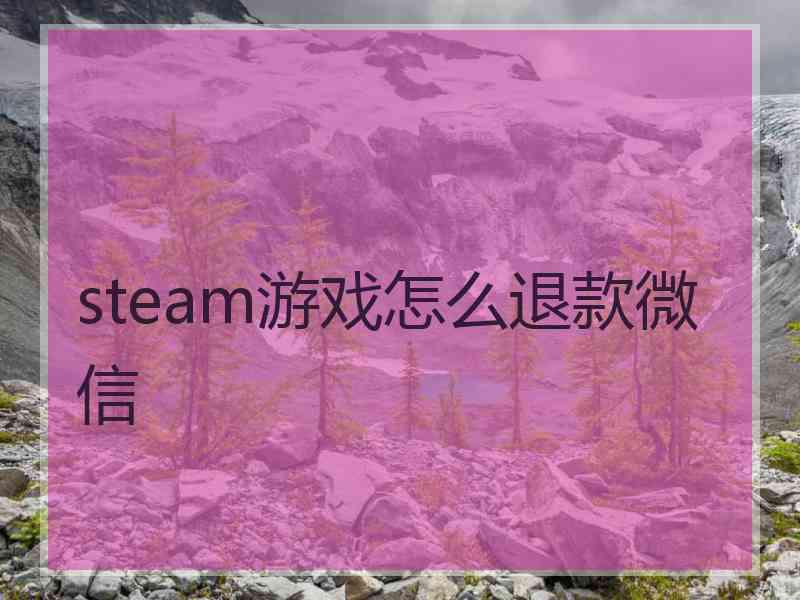 steam游戏怎么退款微信