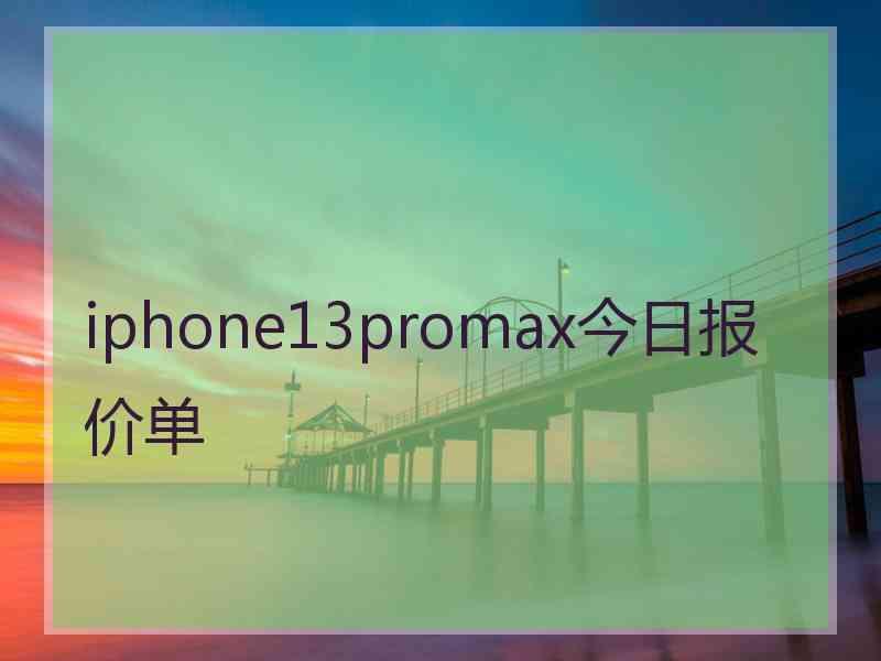 iphone13promax今日报价单