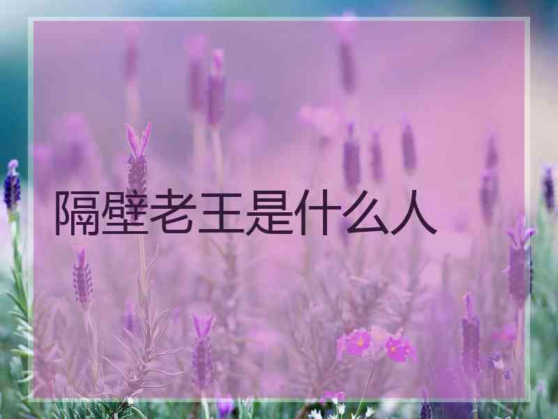 隔壁老王是什么人