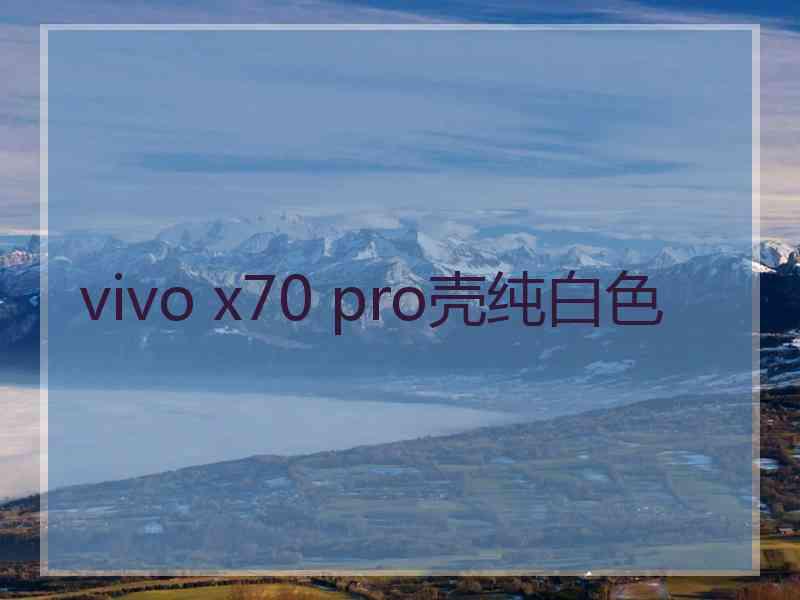 vivo x70 pro壳纯白色