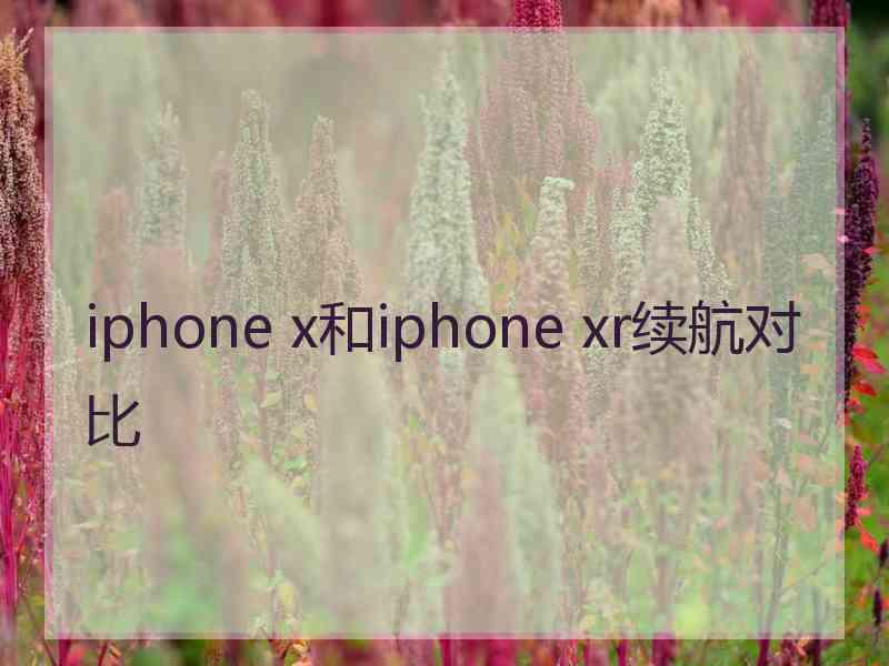 iphone x和iphone xr续航对比