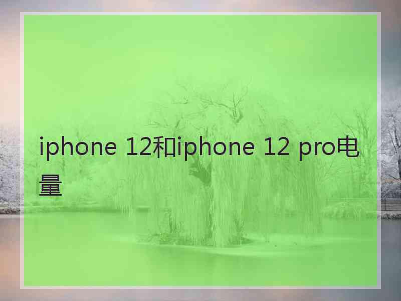 iphone 12和iphone 12 pro电量