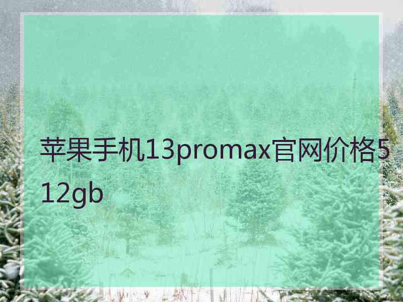 苹果手机13promax官网价格512gb