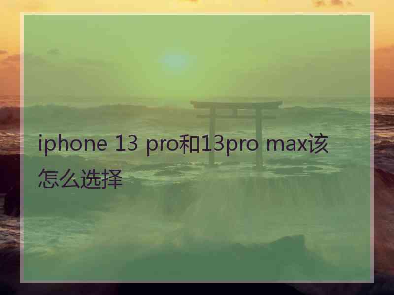 iphone 13 pro和13pro max该怎么选择