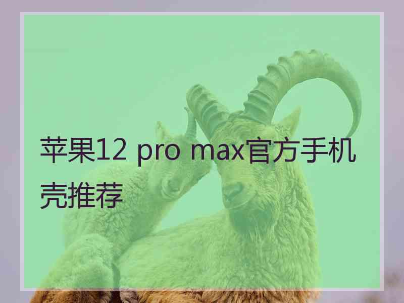 苹果12 pro max官方手机壳推荐