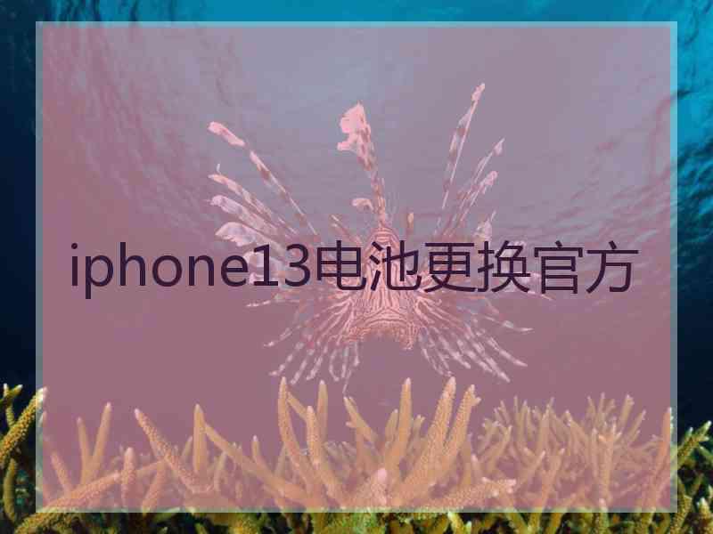 iphone13电池更换官方