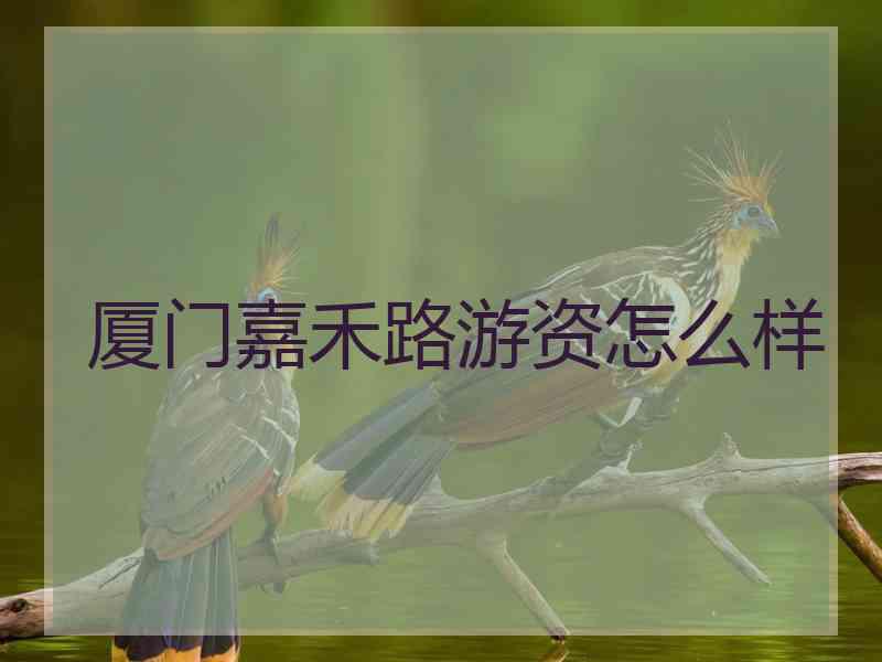 厦门嘉禾路游资怎么样