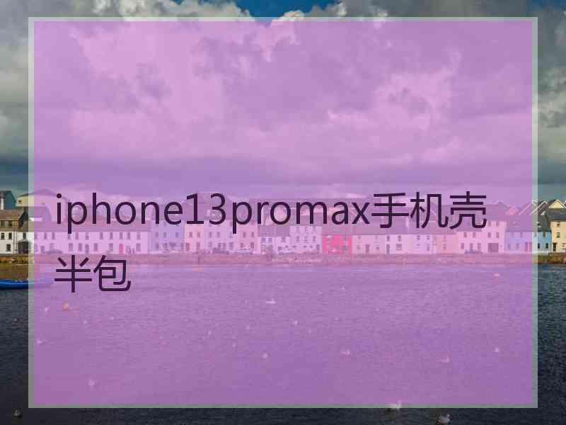 iphone13promax手机壳半包