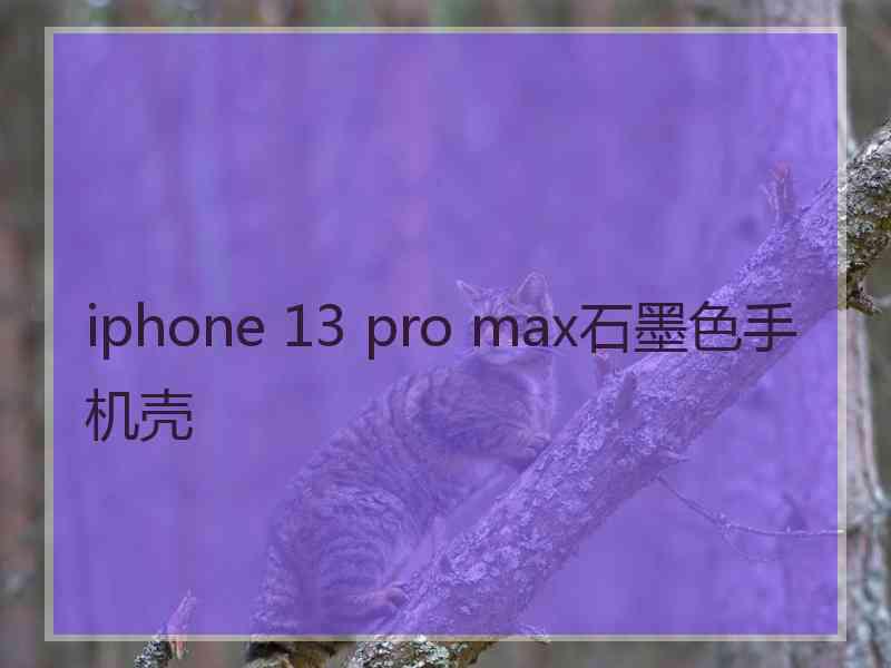 iphone 13 pro max石墨色手机壳