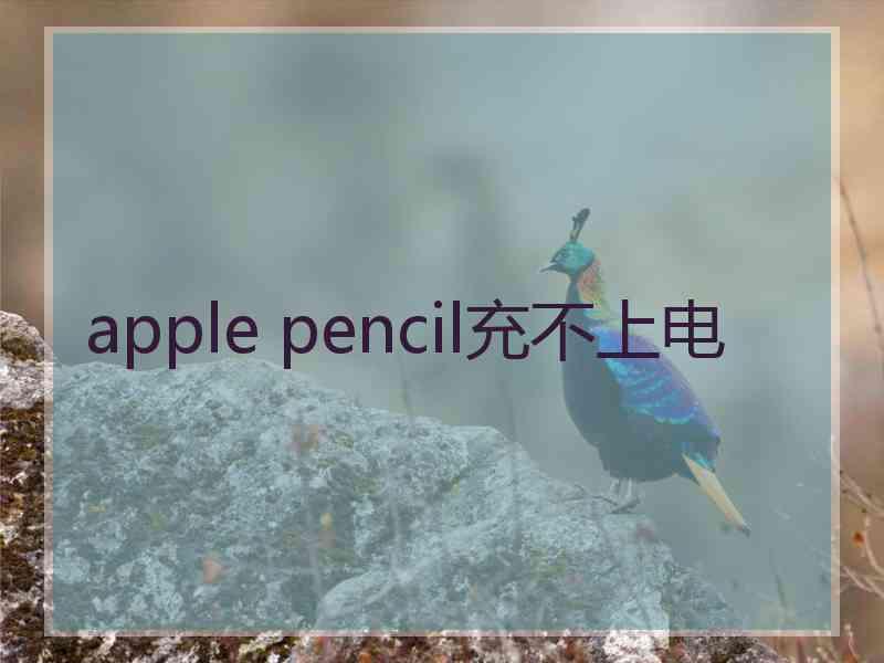 apple pencil充不上电