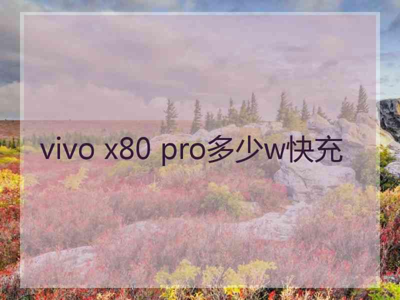 vivo x80 pro多少w快充