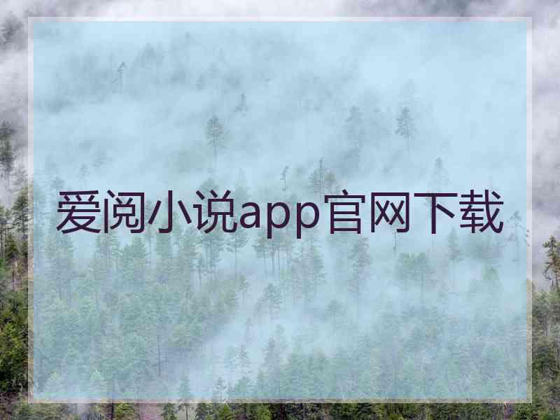 爱阅小说app官网下载