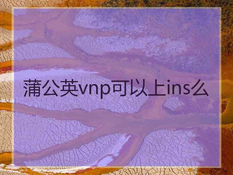 蒲公英vnp可以上ins么