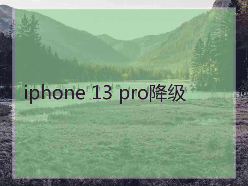 iphone 13 pro降级