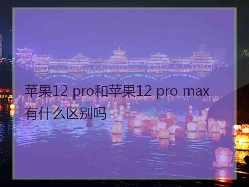 苹果12 pro和苹果12 pro max有什么区别吗