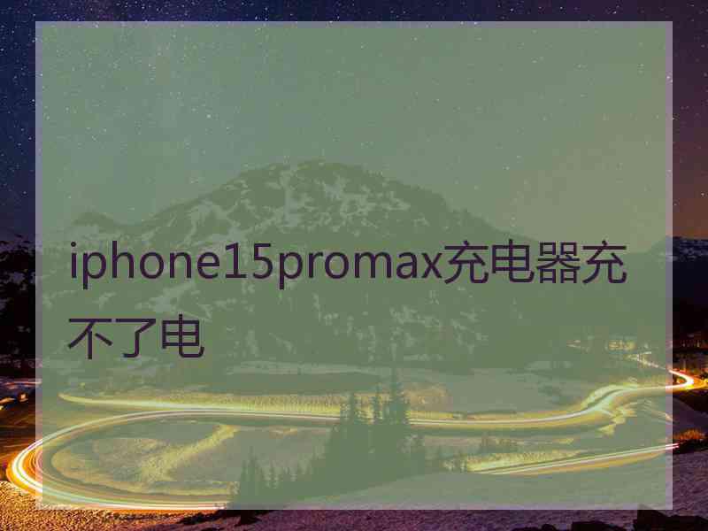 iphone15promax充电器充不了电