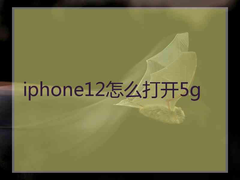 iphone12怎么打开5g